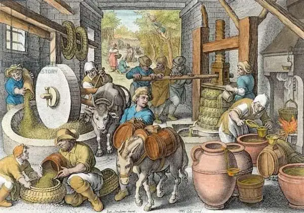An animal-driven olive press, engraving
