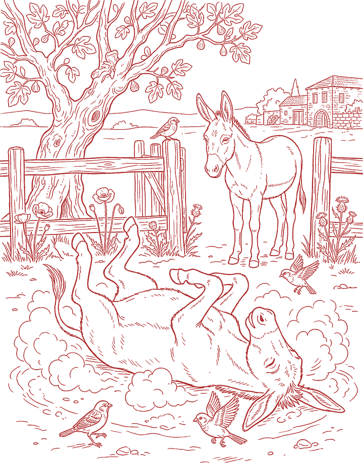 Red line drawing: The Waterless Bath