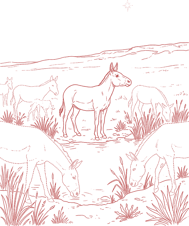 Red line drawing: wild asses grazing in an open plain