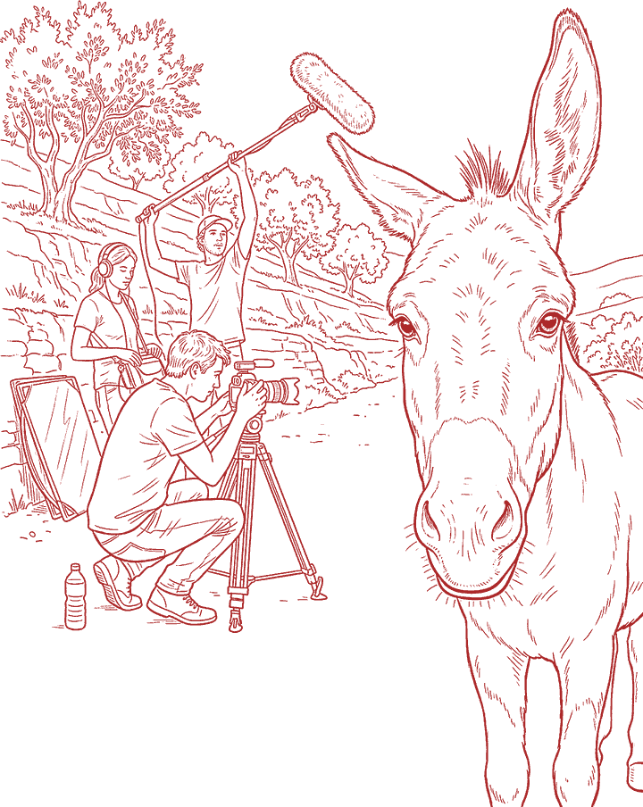 Red line drawing: He Walked Into the Shot